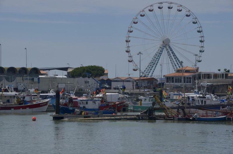 Les Ecureuils * Saint-Palais-sur-Mer